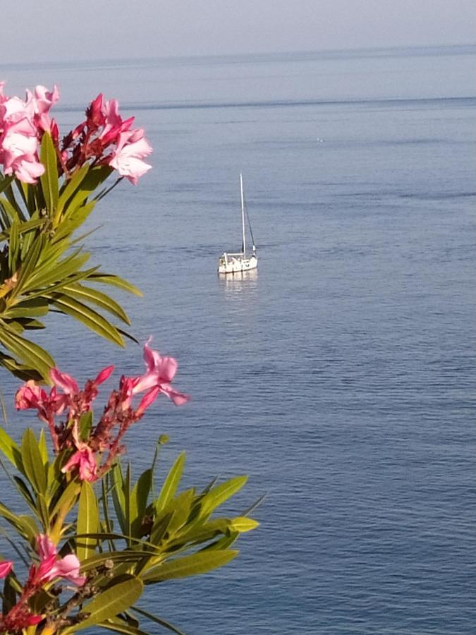 Las Palmeras Almuñécar Eksteriør billede